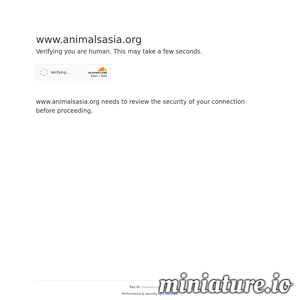 animalsasia.org网站缩略图