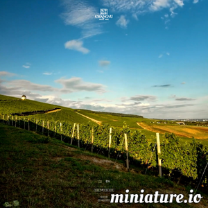 changyu.com.cn网站缩略图