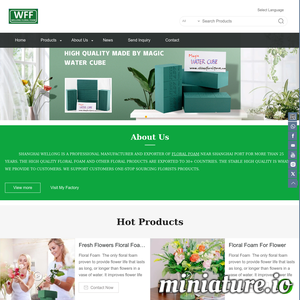 chinafloralfoam.com网站缩略图