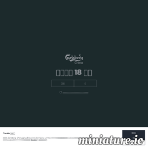 chongqingbeer.com网站缩略图