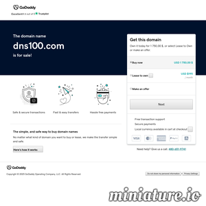 dns100.com网站缩略图