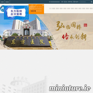 dongfangyy.com.cn网站缩略图