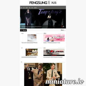 fengsung.com网站缩略图