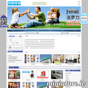 ferroli-shh.com网站缩略图