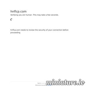 hnflcp.com网站缩略图