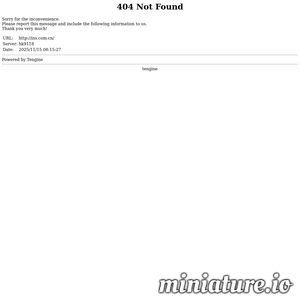 ins.com.cn网站缩略图