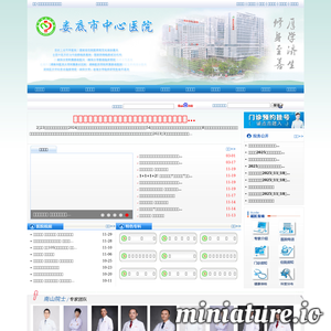 ldzxyy.com网站缩略图