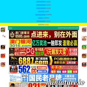 lhszyy.com网站缩略图