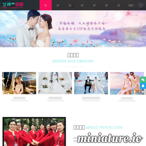 nvyou.com网站缩略图