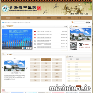 qhzyy.com.cn网站缩略图