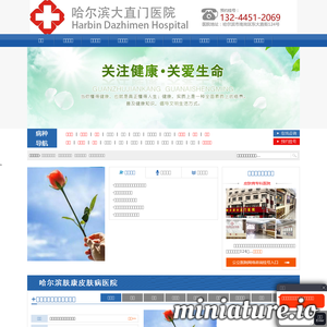 shszyy.com网站缩略图