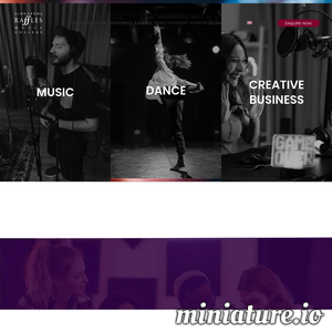 srmc.edu.sg网站缩略图