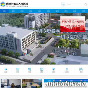 tl-sy.com网站缩略图