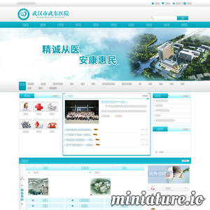 wdyy.com网站缩略图