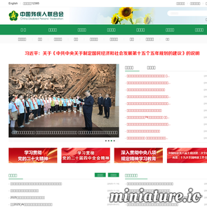 www.cdpf.org.cn网站缩略图