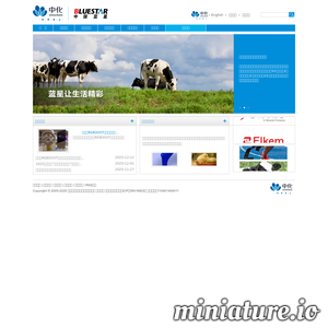 www.china-bluestar.com网站缩略图