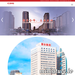 www.china-cdig.com网站缩略图