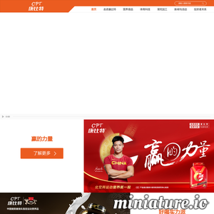 www.chinacpt.com网站缩略图
