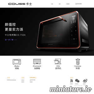 www.couss.cn网站缩略图