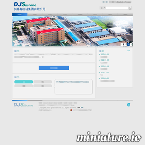 www.djsilicone.com网站缩略图