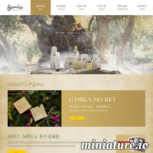 www.gamilasecret.com.cn网站缩略图