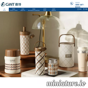 www.gint.cc网站缩略图