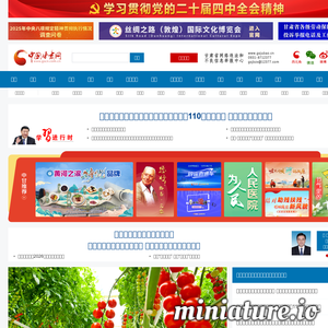 www.gscn.com.cn网站缩略图