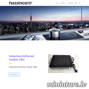 www.hassino.com网站缩略图