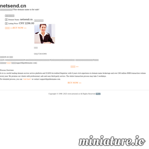 www.netsend.cn网站缩略图