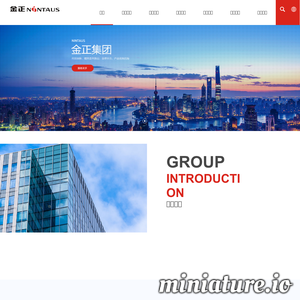 www.nintaus.com网站缩略图
