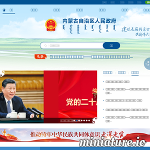 www.nmg.gov.cn网站缩略图