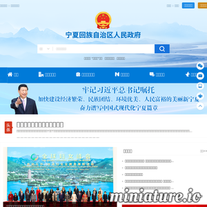 www.nx.gov.cn网站缩略图