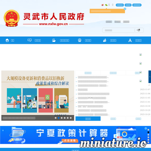 www.nxlw.gov.cn网站缩略图