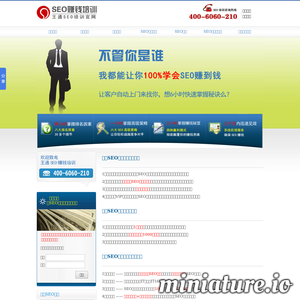 www.seo.net.cn网站缩略图