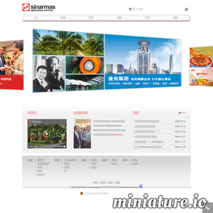 www.sinarmas-agri.com.cn网站缩略图