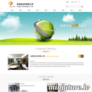 www.sungo.asia网站缩略图