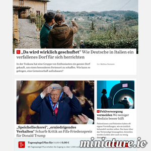 www.tagesspiegel.de网站缩略图