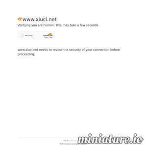 www.xiuci.net网站缩略图
