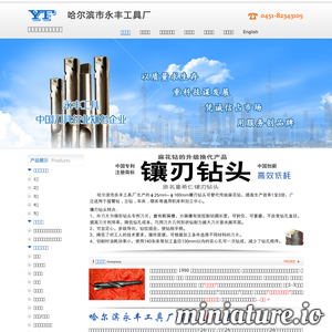 www.yongfengtools.com.cn网站缩略图