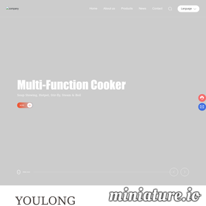 www.youlong-china.com网站缩略图