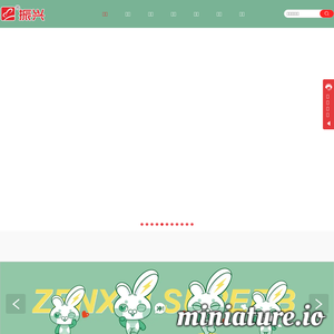 www.zxi.com.cn网站缩略图