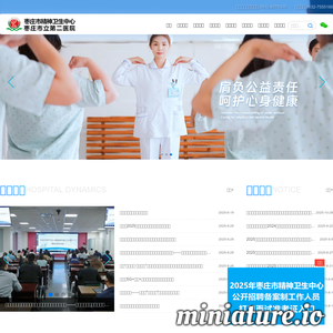 zzsley.com网站缩略图