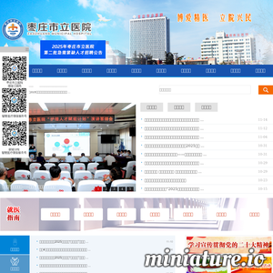 zzslyy.com网站缩略图