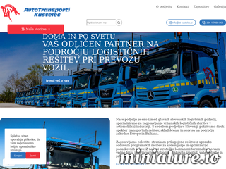 spletna stran
