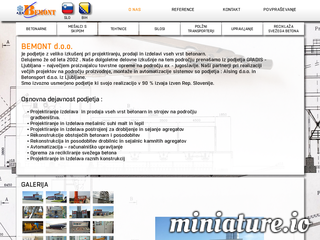 spletna stran