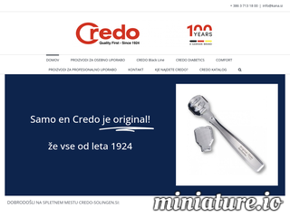 spletna stran