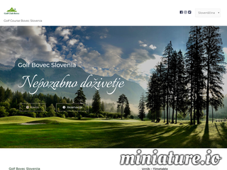 spletna stran