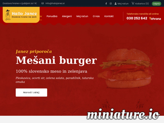 spletna stran