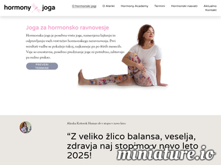 spletna stran