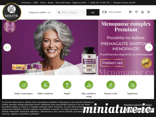 spletna stran
